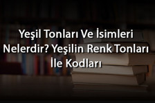 Yeşil Tonları Ve İsimleri Nelerdir? Yeşilin Renk Tonları İle Kodları