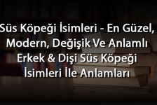 Süs Köpeği İsimleri - En Güzel, Modern, Değişik Ve Anlamlı Erkek & Dişi Süs Köpeği İsimleri İle Anlamları