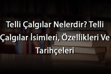 Telli Çalgılar Nelerdir? Telli Çalgılar İsimleri, Özellikleri Ve Tarihçeleri