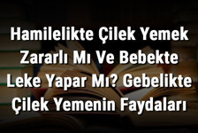 Hamilelikte Çilek Yemek Zararlı Mı Ve Bebekte Leke Yapar Mı? Gebelikte Çilek Yemenin Faydaları