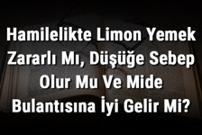 Hamilelikte Limon Yemek Zararlı Mı, Düşüğe Sebep Olur Mu Ve Mide Bulantısına İyi Gelir Mi?