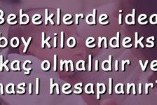 Bebeklerde ideal boy kilo endeksi kaç olmalıdır ve nasıl hesaplanır? Bebeklerde boy kilo hesaplama