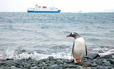 Antarktika denizlerinde beş gün