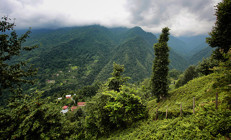 Yok olmadan görülmesi gereken güzelik: Kamilet Vadisi