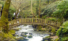 Sonbaharda gel diyen yerler