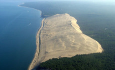 Pyla Kumulu ormanı yok ediyor