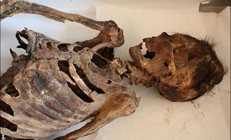 Moğolistan’da 1100 yıllık Türk kadın mumyası bulundu