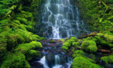 Yok olma tehlikesiyle karşı karşıya olan doğa harikaları