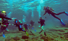 Bodrum’un en ilginç 5 dalış noktası