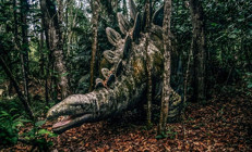 Ürkütücü park 24 yıl sonra ilk kez ortaya çıktı