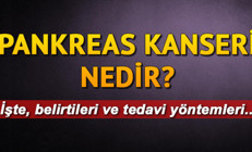 Pankreas kanseri nedir Pankreas kanseri hakkında bilinmesi gerekenler
