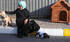 Emine Erdoğan, engelli köpek Leblebiyi sahiplendi