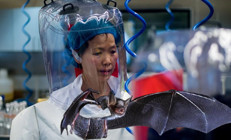 Son dakika haberler: Wuhandaki koronavirüs laboratuvarının başındaki isim Prof. Shi: Ziyarete açığız