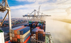 Tarım sektöründe tarihi ihracat