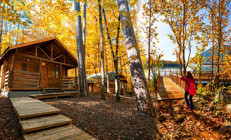 Doğanın kalbinde sonbahar güzelliği: Milli parklar