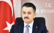 Bakan Pakdemirli: Limon üretimi bu yıl daha bereketli