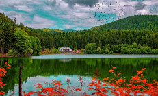 13 şehirden harika 17 tabiat parkı