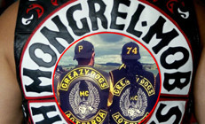 Yeni Zelandada ilginç aşı kampanyası. Çete liderleri çağrı yaptı