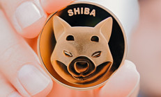 Shiba Inude güçlü yükseliş