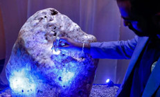 Asyanın Kraliçesi satışa çıkıyor... Fiyatı dudak uçuklattı