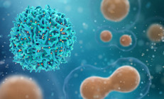 Sizin bağışıklık sisteminiz hangisi General T hücrelerini dengeleme rehberi...