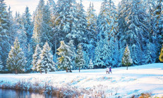 En güzel kış aktivitesi: Karda yürüyüş… | 6 ŞEHİR 10 ROTA