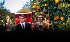 Mandalina bahçede 1.8, markette 24 lira Fiyat farkının nedeni ne