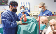 Domuzdan insana kalp naklini uzmanlara sorduk: Organ naklinde müthiş dönemeç
