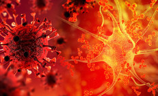 Erken sonuçlar geldi: Omicronda süper bağışıklık müjdesi