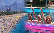 Uzmanlar uyardı Bu yıl resmen akın edecekler, elinizi çabuk tutun...