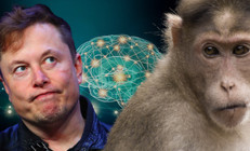 İddiası çok büyük, suçlamalar çok korkunç Elon Musk Neuralink ile nereye koşuyor