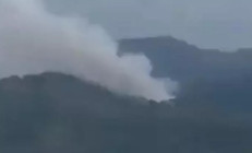 Çinde 133 kişi taşıyan uçak düştü