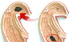 Herkes bu buluşu konuşuyor… Sosyal medyayı ikiye bölen görüntü