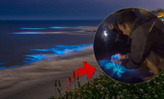Denizde mavi ışık heyecanı Photoshop değil gerçek: “Bu bir sihir gibi…”