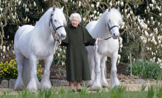 96 yıla neler sığdırdı Manolya ağacının önünde yeni yaş pozu