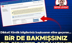 Bir de bakmışsınız bir şirkete ortaksınız