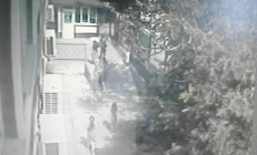 Bursada rüzgar nedeniyle okul girişindeki ağaç devrildi: Bir kadın yaralandı