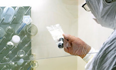 10 soruda maymun çiçeği