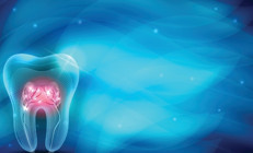 Endodonti nedir, ne işe yarar Endodonti tedavisi hakkında bilgiler