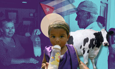 Süt Küba için her şey demekti Ama bugün...