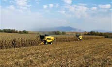 TMO BUĞDAY FİYATLARI 2022: Hububat alım fiyatları belli oldu