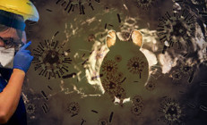 Bilim insanlarından flaş açıklama... İsveçte yeni bir koronavirüs keşfedildi