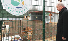 Erdoğan Beykoz ve Konya’yı örnek gösterdi: Barınaktan sahiplen destek al