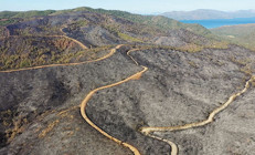 Marmariste orman yangını: Yemyeşildi küle döndü