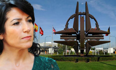 PKK yanlısı İsveçli vekilden flaş NATO çağrısı