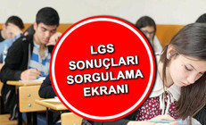 LGS SONUÇLARI meb.gov.tr sorgulama: LGS 2022 sonuçları ne zaman açıklanacak, açıklandı mı Gözler MEBde