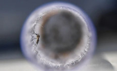 Virüs yayan sivrisinekler şoke etti… Kokularımızı değiştiriyorlar