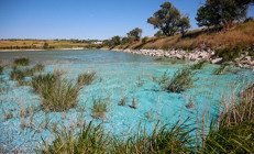 İstanbulun su kaynağı Sazlıbosna Barajında endişelendiren görüntü