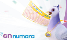 On Numara sonuçları açıklandı On Numara sonuç ekranı millipiyangoonlineda
