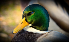 BİR SORUDAN FAZLASI | Neden hayatım sosyal medya hesabımdaki gibi değil